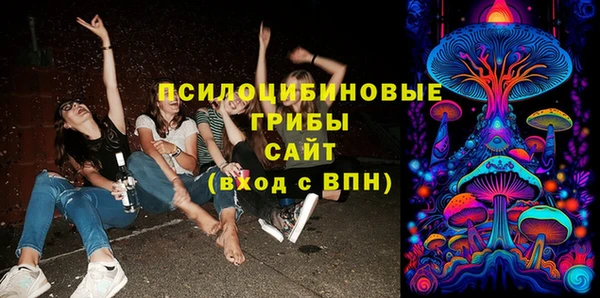 шишки Пересвет