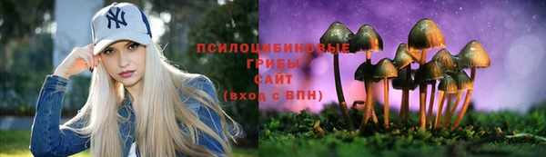 шишки Пересвет