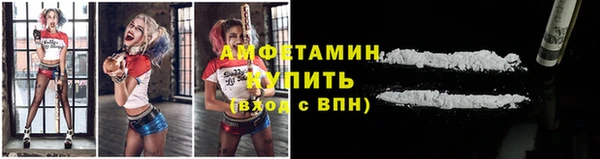 крисы Верея