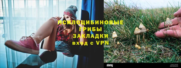 соль курить ск Верхний Тагил