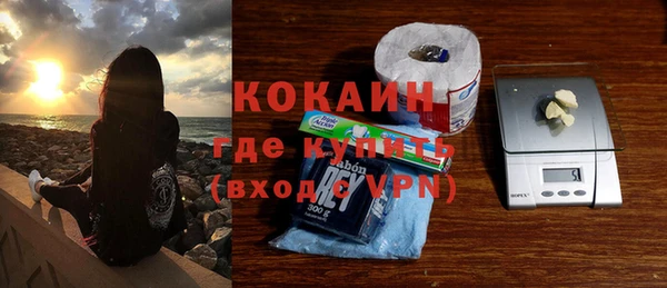 прущие грибы Переславль-Залесский