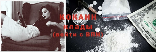 прущие грибы Переславль-Залесский
